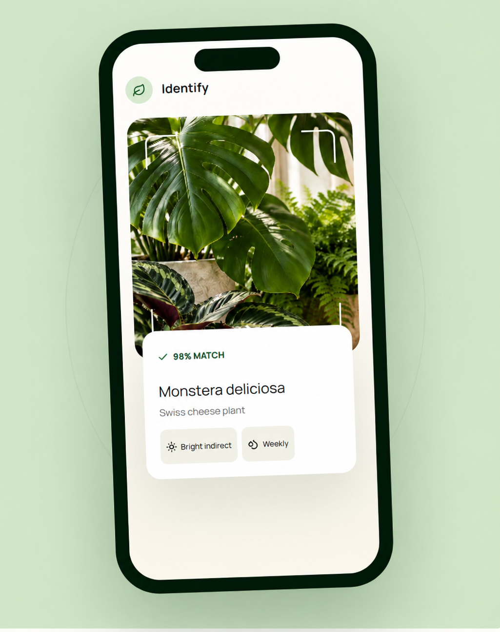 PlantBetter plant identification screen