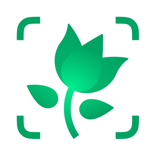 PictureThis logo
