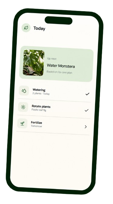 PlantBetter plant detail screen